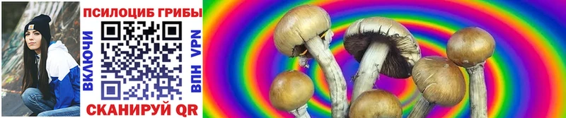 Псилоцибиновые грибы Magic Shrooms Старый Крым